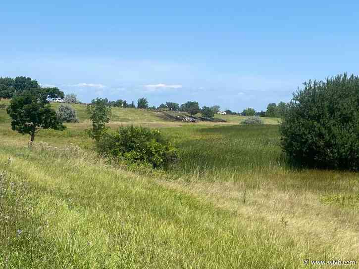 Pilot killed in Niagara County small plane crash identified