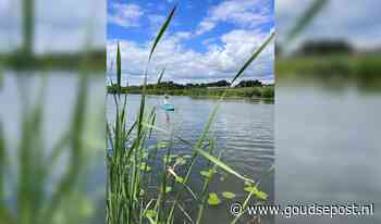 'Kontakt Zomeruitjes': tot rust komen op de Linge