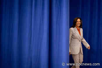 Ready for Kamala? First pro-Harris 2024 effort begins recruiting volunteers