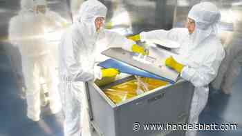 Chart des Tages: Kurseinbruch bei Sartorius