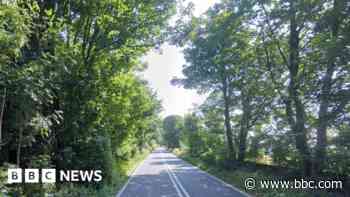 Four dead after car crashes into tree