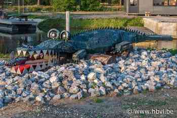 Krokodil aan passantenhaven heeft opknapbeurt nodig: “Kleur is weg en hout is rot”