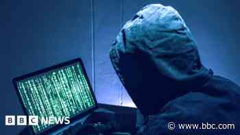 Boy, 17, arrested in FBI cyber crime operation