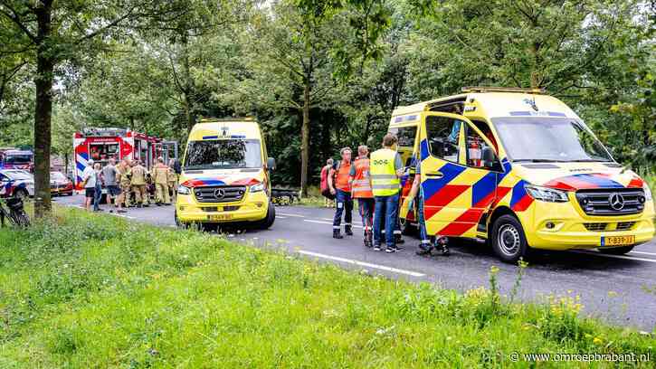 Vrouw (72) overlijdt bij botsing tegen boom, bestuurder (75) zwaargewond