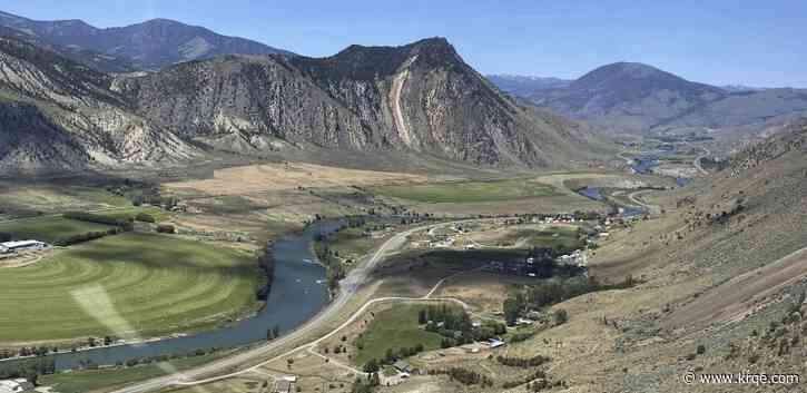 Grizzly bear attacks man picking berries in Montana