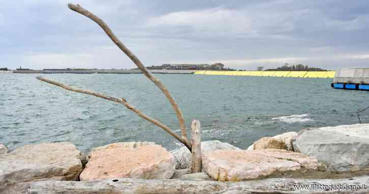 Venezia, 21enne annega dopo un tuffo nella laguna con il fidanzato: ipotesi malore