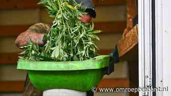 112-nieuws: hennepkwekerij gevonden • container in brand