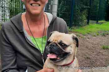 Tierliebe kennt keinen Ruhestand