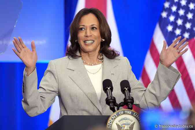 Harris, endorsed by Biden, could become first woman, second black person to be president