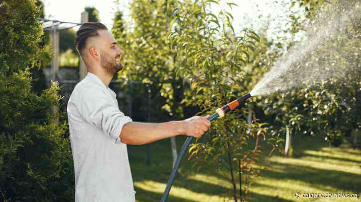 Feeder main performing well as city officials mull easing water restrictions