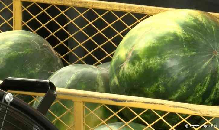 Rail Yards Market puts spotlight on fruit commonly associated with summer