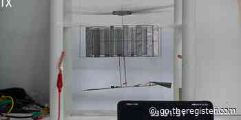 Chinese researchers create four-gram drone that might fly forever