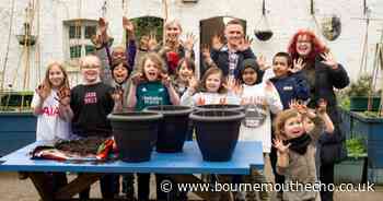 Dorset residents urged to sign up to tree planting scheme