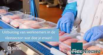 Uitbuiting van werknemers in de vleessector: wat doe je eraan?