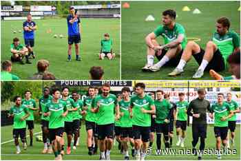 Dave Van Waes mikt met promovendus KVK Ninove op linkerkolom in eerste afdeling: “Soms moet je voor vernieuwing durven kiezen”