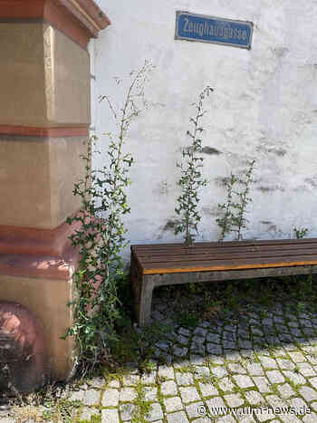 Antrag der Ulmer SPD-Fraktion an den neuen OB: Sauberkeit unverzüglich wieder herstellen – Passanten: „Hier ist es ganz schön dreckig“