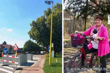 Oppositie neemt bloembakken aan bushalte onder vuur: “Ze zorgen voor een gevaarlijke situatie, zijn weggegooid werk én geld”