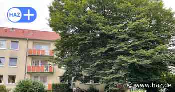 Hannover-Hainholz: Frau fällt im Streit vom Balkon