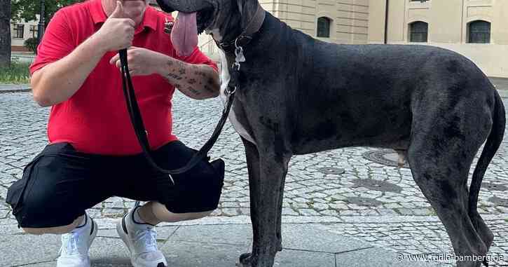 Riese Ramses – Hund aus Zossen ist rekordverdächtig groß