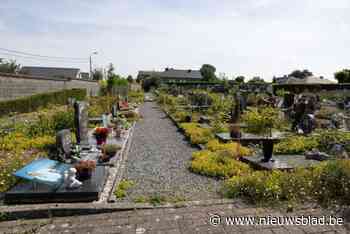 Onderhoud begraafplaats stuit op kritiek: “Het is hier nog nooit zo vuil geweest als nu”