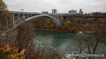 The pilot who died in crash after releasing skydivers near Niagara Falls has been identified