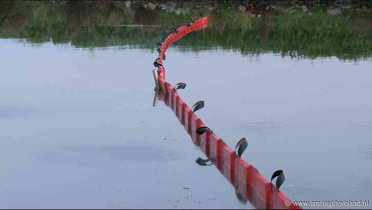 Almere - Olieschermen tegen blauwalg verdwijnen mogelijk in Almere, besparing van 85.000 euro