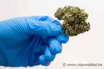 Politie controleert of man zijn voorwaarden naleeft en vindt grote hoeveelheid cannabis in flat