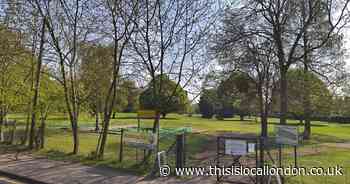Hall Lane, Upminster mini golf development debated at meeting