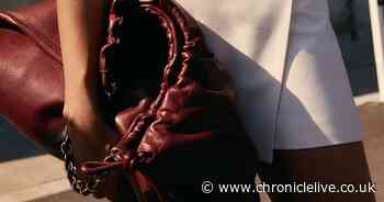 Frankie Bridge praises H&M bag that looks 'just like' £3k Loewe version