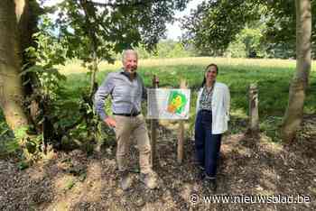 Kasteelpark Bunswyck na jaar vol onderhoudswerken open voor publiek: “We willen dat iedereen van deze schat kan genieten”