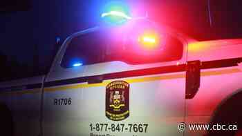 2 men fined over $10K for moose poaching near Thunder Bay