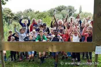 Gemeente organiseert opnieuw  zomerschool: “Taalachterstand wegwerken tegen 1 september”