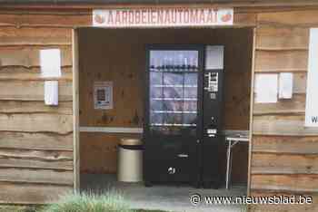 Zoveelste inbraak in voedselautomaat op korte tijd: “Gaat vermoedelijk om dezelfde dader”