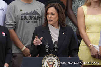 Ex-House Speaker Pelosi endorses Harris’ bid for Democratic nomination