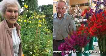North London Summer Flower Shows Highgate, Muswell Hill