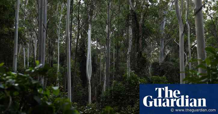 Australia’s major food companies failing nature, report finbds