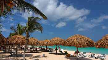 Gründer Bucuti & Tara Beach: So wurde ein Hotel in der Karibik zum Öko-Vorreiter