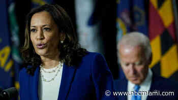 What happens next for Democrats now that Biden dropped out and endorsed Harris