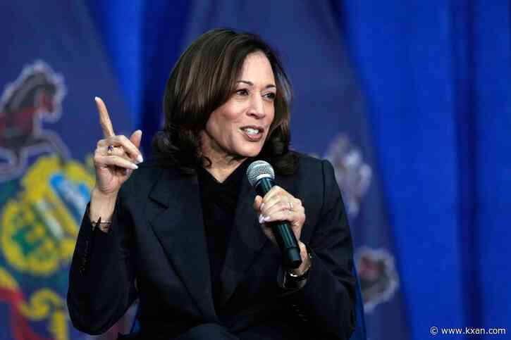 Texas DNC delegates endorse Kamala Harris for presidential nomination in 'overwhelming majority'