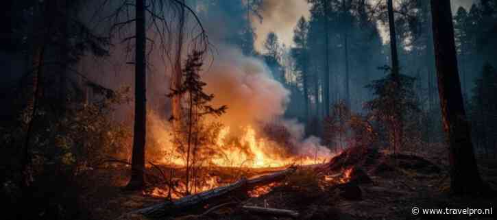 Evacuaties in Jasper en Jasper National Park vanwege bosbranden
