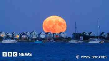 Orange Buck Moon captured in the south
