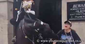 Tourist bitten by King's Guard horse despite warning signs