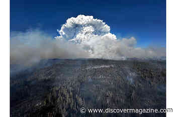 Fire-Breathing Smoke Storms Punch High Into the Atmosphere