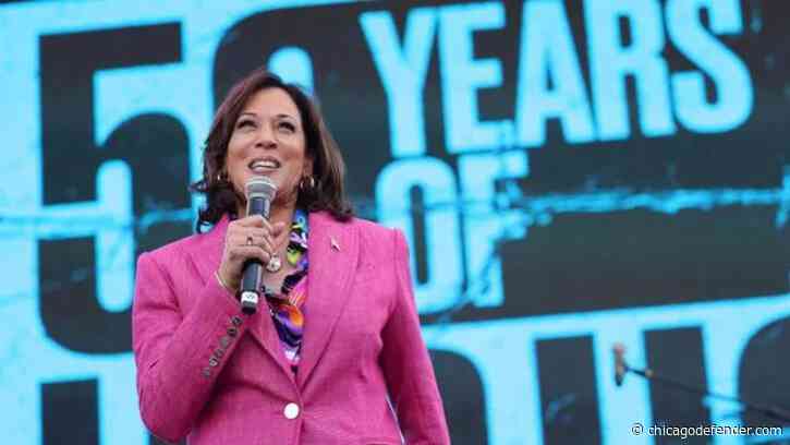 Kamala Harris Has Enough Delegate Support for Presidential Nomination