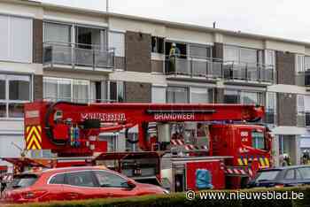 Vrouw (80) die uit brandende flat in Berlaar werd gehaald is aan haar verwondingen bezweken