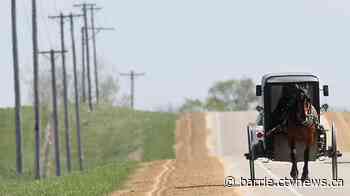 Buggy struck by car in Grey Bruce County