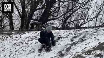 South-east cold spell drove record demand for power and soaring wholesale prices