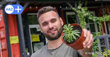 Lizenz zum Hanfanbau: Neuer Cannabis-Verein in Hannover geht an den Start