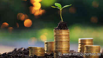 Tagesgeld mit der höchsten Rendite