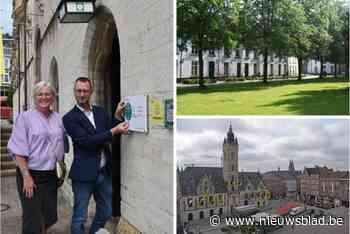 Dit zijn de grootste toeristische trekpleisters van Ros Beiaardstad, en dat heeft beroemde Michelingids nu ook ontdekt